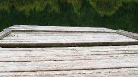 Gallery - 297958.jpg