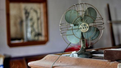 August 2019 - Collages34.jpg