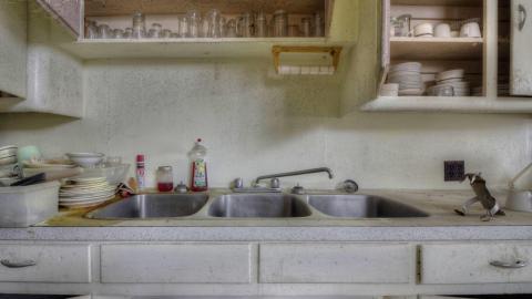 August 2019 - Collages49.jpg