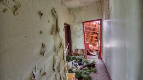 August 2019 - Collages52.jpg