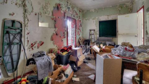 August 2019 - Collages53.jpg