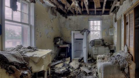 August 2019 - Collages59.jpg