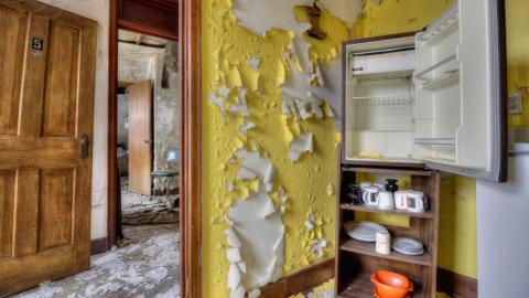 August 2019 - Collages70.jpg