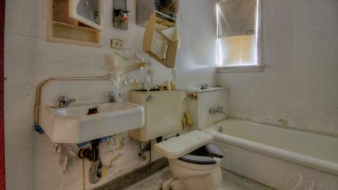 August 2019 - Collages76.jpg