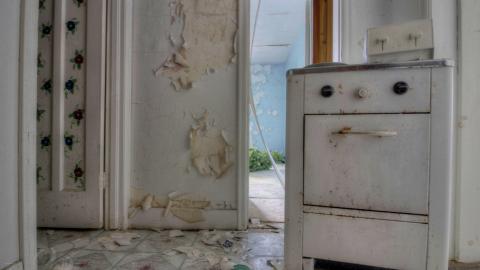 August 2019 - Collages86.jpg