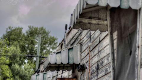 August 2019 - Collages94.jpg