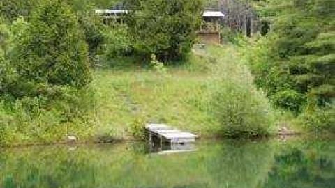 Gallery - 297959.jpg