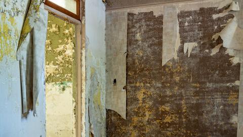 Summer 2021 - Condemned Abandoned Deserted Catholic Church (26 of 39).jpg