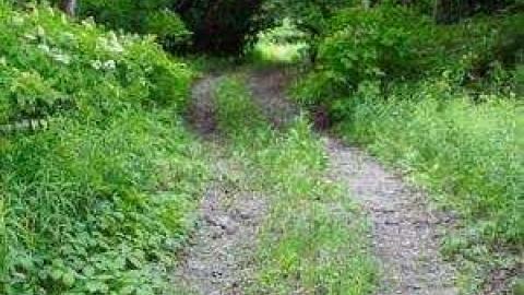 Gallery - 297960.jpg