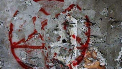 Gallery - 297962.jpg