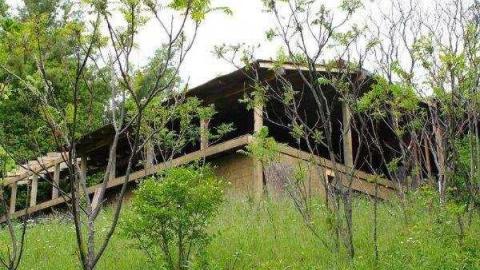 Gallery - 297963.jpg