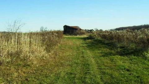 Divorce Doomed photo 4