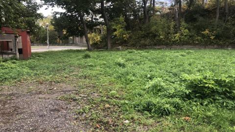 Sorry I missed ya - C1E2864F-B104-4D46-8A78-2F9F415BAC50.jpeg