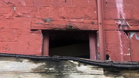 Sorry I missed ya - 5757298B-D9D2-4ABA-9AED-D1BBA795AB87.jpeg