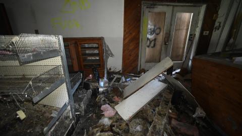 Open Sewer - _DSC7292.JPG