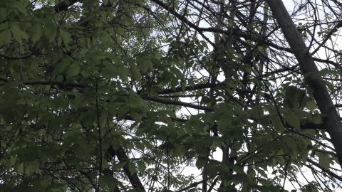 The End Of An Era - IMG_2599.jpg