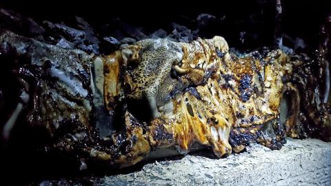 Photo from The Old Burnt Church