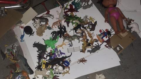 My Pics are C-. My Vibes Are A+ - IMG-9922.jpg