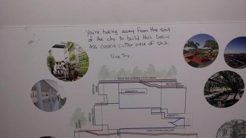 My Pics are C-. My Vibes Are A+ - IMG-9910.jpg