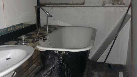 My Pics are C-. My Vibes Are A+ - IMG-9903.jpg