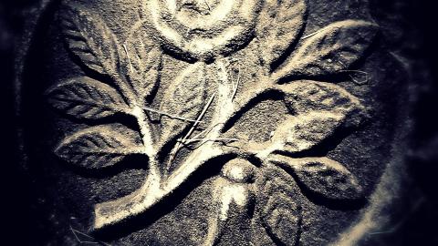 The Old Burnt Church - aviary-image-1634528578274.jpeg