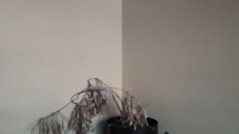 There was a TikTok Convention in Town - IMG_20211017_183447897.jpg