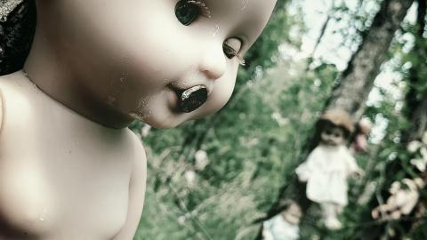 The Dolls - aviary-image-1634621494472.jpeg