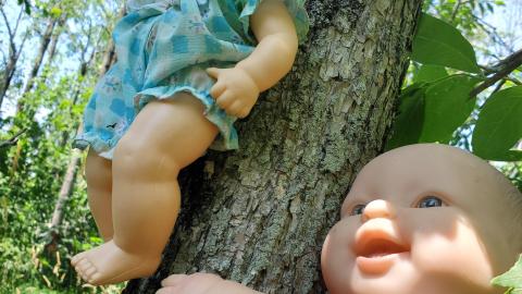 The Dolls - 20210627_133948.jpg