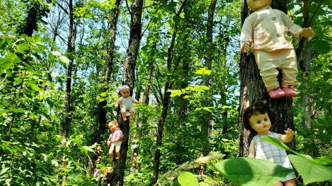 The Dolls - 20210627_133326.jpg