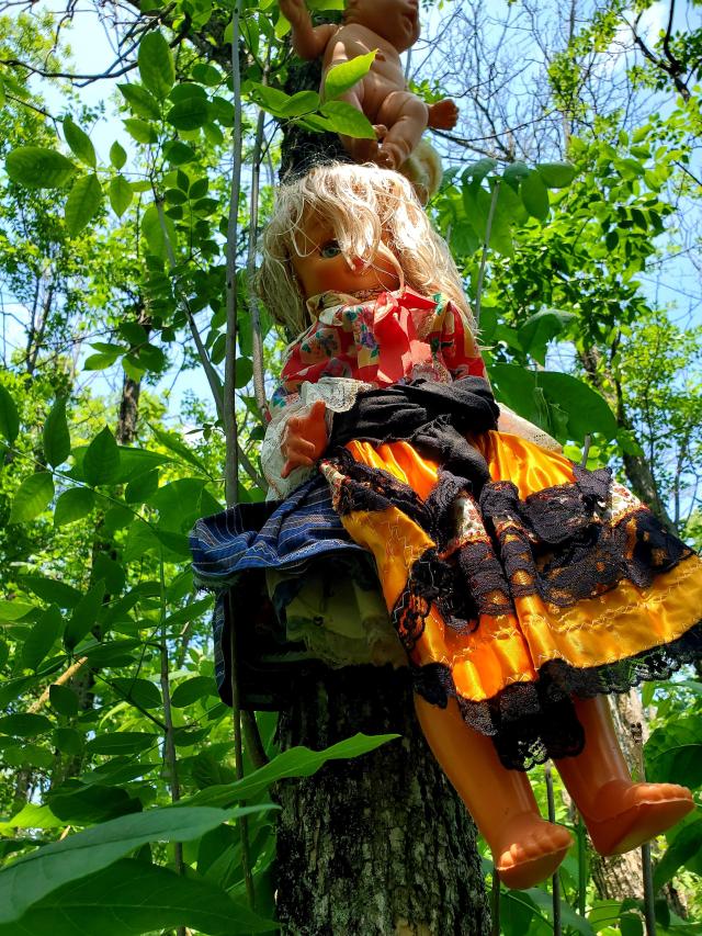 The Limerick Forest Dolls photo 5