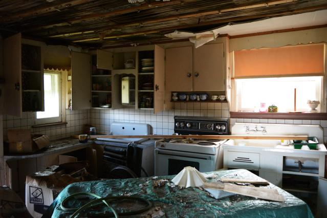 Rando Bando - August 2015 - 2.jpg