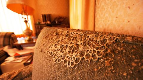 Memories Of Mary - December 2016 - 7.jpg