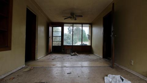 Uhhhh.....What Are "Boards"? - IMG_7199.JPG