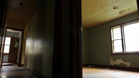 Photo from Uhhhh.....What Are "Boards"?