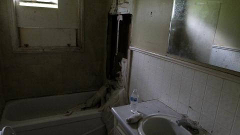 Uhhhh.....What Are "Boards"? - IMG_7208.JPG