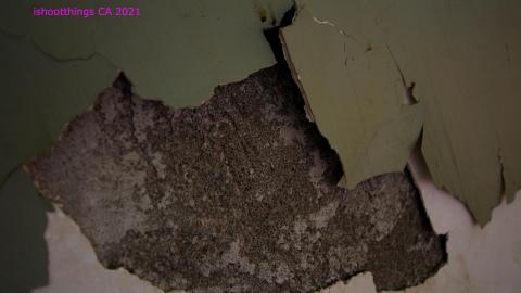 Uhhhh.....What Are "Boards"? - IMG_7224.JPG