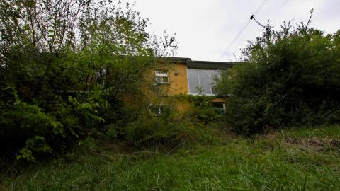 Uhhhh.....What Are "Boards"? - IMG_7230.JPG