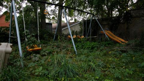 Uhhhh.....What Are "Boards"? - IMG_7231.JPG