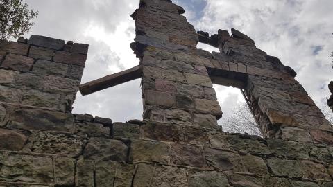 Milling around - 2.jpg