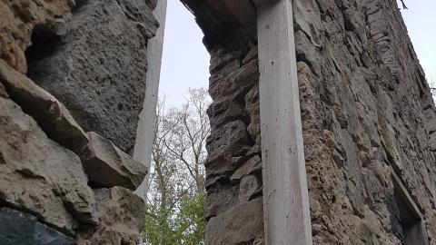 Photo from Milling around