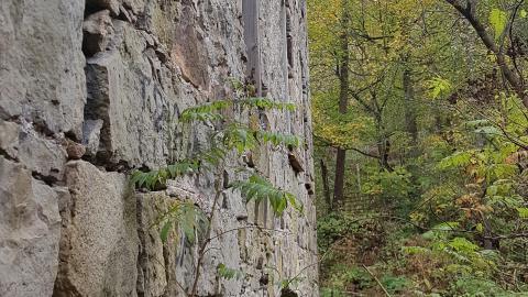 Photo from Milling around