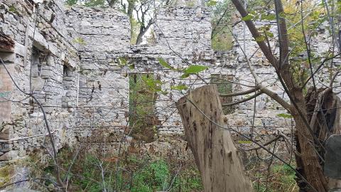 Milling around - 8.jpg