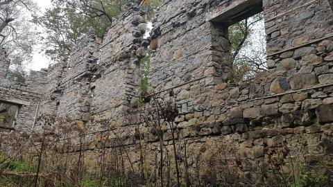 Milling around - 9.jpg