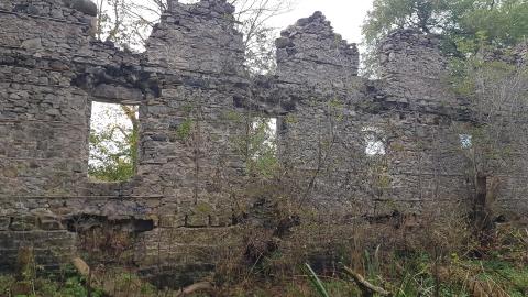 Milling around - 10.jpg