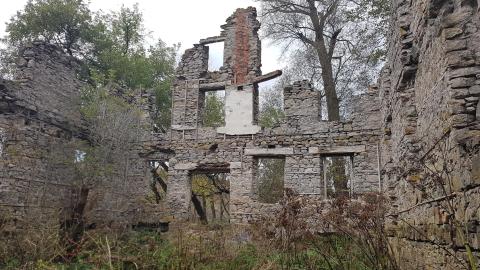 Milling around - 11.jpg