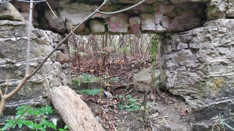 Photo from Milling around