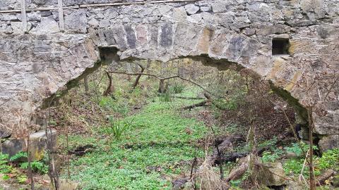 Milling around - 15.jpg