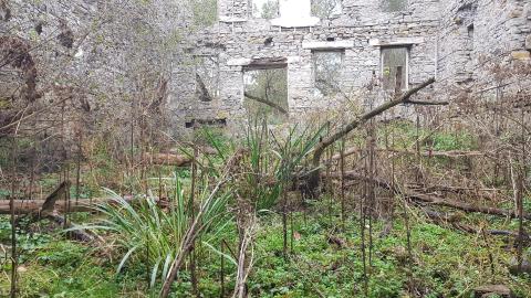 Photo from Milling around