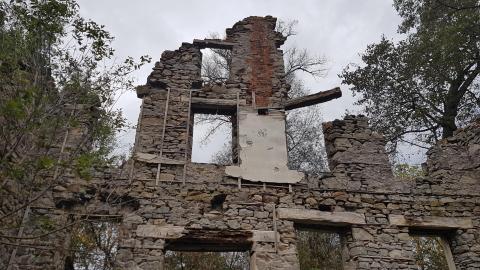 Milling around - 17.jpg