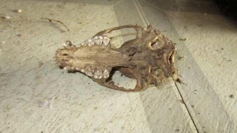 Inside #1 - House-with-a-View185.jpg